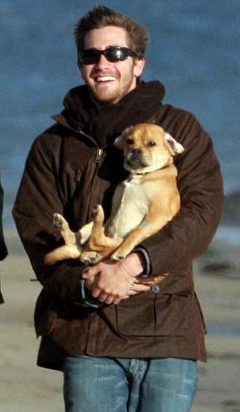 jake gyllenhaal w/ his chubby puppy. @Becky Geller Boo Radley, Jake G, Celebrity Dogs, Pet People, Dog Best Friend, Dog People, Man And Dog, I Am So Happy, Jake Gyllenhaal