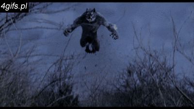 Van Helsing - hombre lobo Van Helsing Werewolf, Werewolf Character, Character Claims, Dark Gif, Magical Wolf, Werewolf Aesthetic, Wolf Warriors, Van Helsing, Wolf Photos