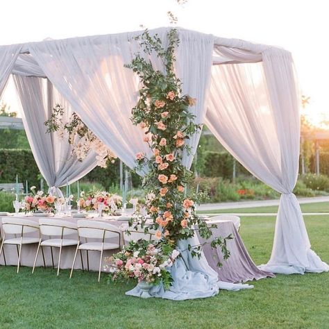 Wedding Drapery, Draping Wedding, Sydney Wedding, Tent Wedding, Marriage Ceremony, Ceremony Decorations, Wedding Arch, Modern Wedding, Wedding Trends