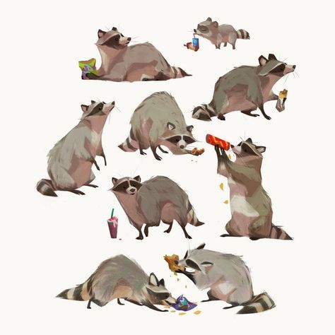 Home / X Raccoon Illustration, Popular Prints, Anthropomorphic Animals, Trash Panda, Animals Art, Racoon, Things To Draw, Artist On Instagram, Drawing Inspo