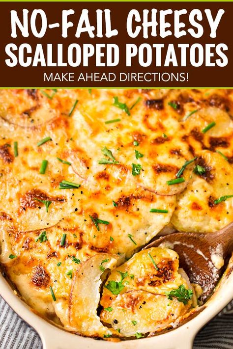 Cheese Scalloped Potatoes, Cheesy Scalloped Potatoes, Scalloped Potato, Au Gratin Recipes, Scalloped Potatoes Cheesy, Scalloped Potato Recipes, Potatoes Au Gratin, Potato Recipes Side Dishes, Potato Sides