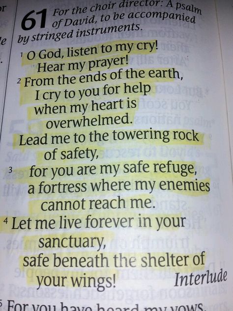 PSALM 61:1-4 - SAFE BENEATH THE SHELTER OF YOUR WINGS Psalm 62:1-2, Psalm 61:1-4, Psalms 61, Psalm 62: 5-6, Psalm 36:7-9 Scriptures, Psalm 57:1 Wings, Psalm 61, Psalm 119:105 Bible Journaling, Bible Study Verses