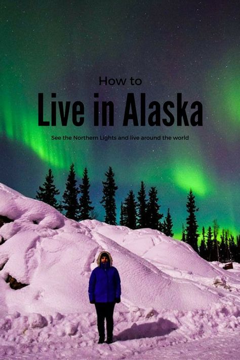 Guide to living in Alaska and seeing the Northern Lights- livein10countries This is about: travelling the world, aurora borealis, how to see the Northern Lights, Northern lights, Alaska, how to live abroad, photo of the northern lights, husky sledging, life in the US, moving abroad, study abroad, how to study in the US. Northern Lights Alaska, Alaska Living, Alaska Homestead, Lights Video, Moving To Alaska, Abroad Study, Solo Traveling, Live Abroad, Visit Alaska