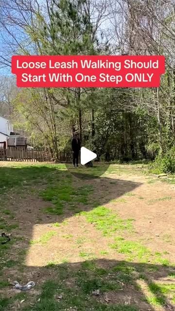 Canine Coach Pro | Dog training on Instagram: "Loose leash, walking should start with one step only! 🐾✨ Tired of your pup pulling you all over the place during walks? Take the first step towards stress-free outings with our dog training program that can transform your walks into a joyful experience! Visit the link in our profile to get started today! 🐶❤️ #looseleashwalking #puppytrainingtips #DogTraining #dogtips" Loose Leash Walking, Puppy Training Tips, Free Dogs, Training Program, Take The First Step, Dog Walking, Training Programs, First Step, Dog Training