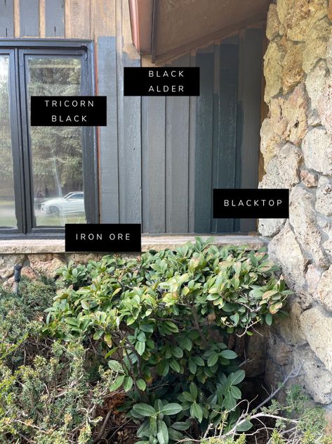 Tricorn Black House Exterior, Blue House Dark Trim, Tricorn Black Trim Exterior, Best Exterior Black Paint Color, Black Garage Exterior, Painting Exterior Window Trim, Tricorn Black Exterior, Black Trim Exterior House, Dark Exterior House