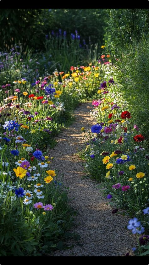 Wild Flower Walkway, Wildflower Garden With Path, Wildflower Garden Backyard, Wild Flower Yard, Wild Flowers Garden, Painted Bedroom Doors, Wild Flower Garden, Garden Wild, Backyard Flowers Garden