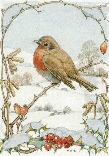 Images Noêl Vintages, Robin Red Breast, Edith Holden, Margaret Tarrant, Robin Redbreast, Christmas Bird, Dessin Adorable, Bird Drawings, Bird Illustration