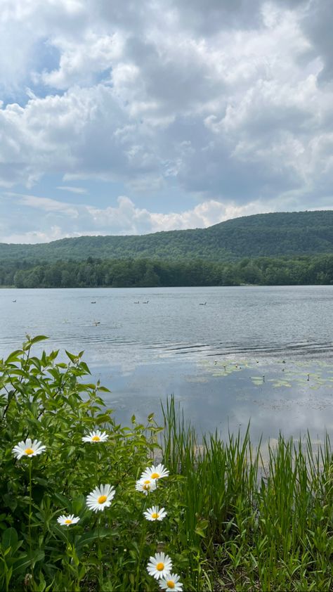 Massachusetts Countryside, Massachusetts Landscape, East Coast Summer Aesthetic, Massachusetts Summer, Westfield Massachusetts, Berkshires Massachusetts, Sudbury Massachusetts, Stockbridge Massachusetts, Framingham Massachusetts