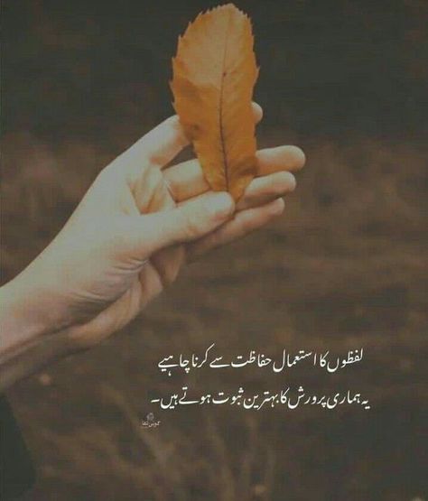 Quotes Deep Meaningful In Urdu, Reality Check Quotes, Morals Quotes, Love Quotes In Urdu, Poetry Pic, Love Birthday Quotes, Soul Love Quotes, Mom And Dad Quotes, Effective Study Tips