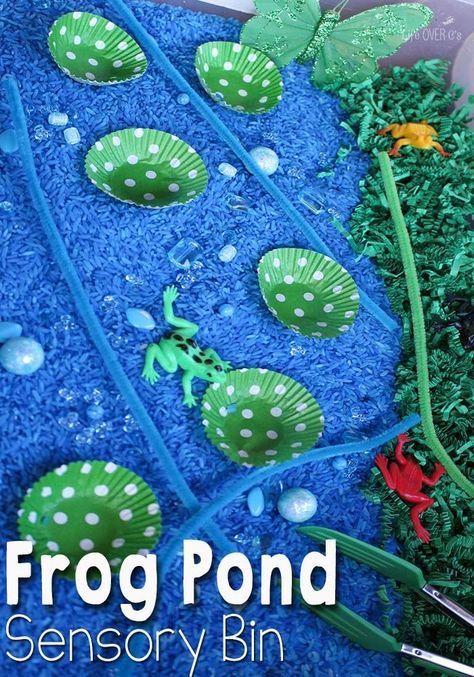 This frog pond sensory is a fun way to explore the life cycle of frogs, learn about their habitat and just have fun! Pond Sensory, Frog Life Cycle Craft, Pond Life Theme, Pond Habitat, Frog Activities, Pond Animals, Life Cycle Craft, Sensory Tubs, Frog Pond