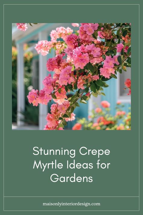 Explore creative ideas for using crepe myrtle in your garden to enhance visual beauty throughout the seasons. These colorful trees offer more than just a lovely view; they provide vibrant shades of pink, purple, and white flowers that bloom during summer. Learn how to integrate these beauties into your landscape with arrangement tips and design inspiration for front yards, backyards, and patios. Discover practical care and maintenance advice so your crepe myrtles flourish, making your outdoor space a true focal point of year-round enjoyment. What To Plant Under Crepe Myrtle, Purple Crepe Myrtle, Crepe Myrtle Landscaping, Crepe Myrtle Trees, Crepe Myrtles, Myrtle Tree, Purple And White Flowers, Crepe Myrtle, Backyard Balcony