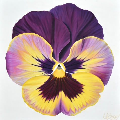 Pansies Flowers, Watercolor Flower Art, Flower Paintings, Flower Art Painting, Canadian Artists, Pansies, Flower Drawing, Floral Painting, Card Art