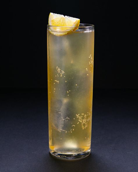 Highball Glass Cocktail, Highball Cocktail, Lemon Soda, Patrick Duffy, Cocktail Appetizers, Carbonated Water, Cocktail Club, Highball Glasses, Lemon Wedge