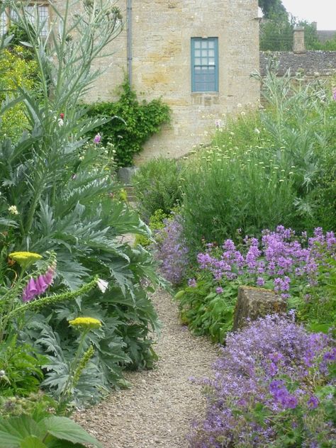 French Cottage Garden, Alchemilla Mollis, Front Yard Plants, Garden Diary, Exquisite Gardens, Victory Garden, French Garden, Wild Plants, Garden Borders