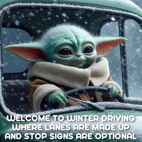 Driving Funny, Cold Weather Funny, Driving Humor, Winter Humor, Yoda Images, Yoda Quotes, Cursed Pictures, Funny Women Quotes, Yoda Funny