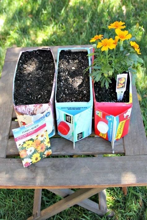 This fun and flower garden for kids is made from an everyday object just sitting in your refrigerator: a juice or milk carton. Garden For Kids, Upcycled Planter, Funny Vine, Milk Carton, Garden Cottage, Flower Planters, Gardening For Kids, Garden Crafts, Tropical Garden