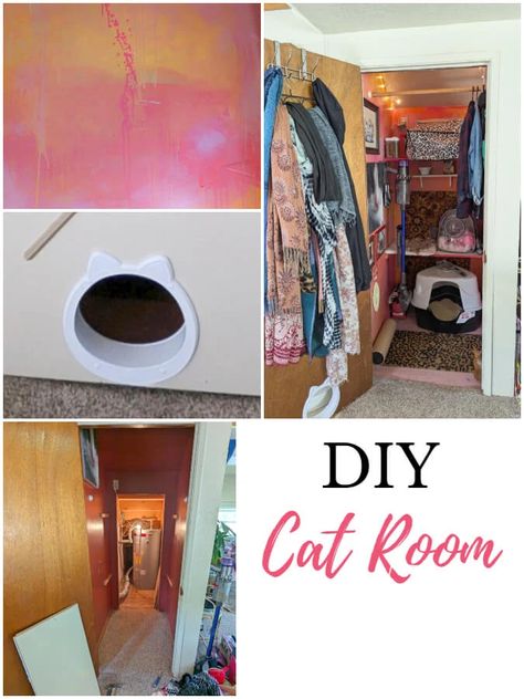 DIY Cat Room From a Closet Closet Cat Room Diy, Closet Cat Room, Cat Closet Ideas, Diy Cat Room, Cat Room Diy, Cat Closet, Egypt Cat, Cat Houses Indoor, Boho Beauty