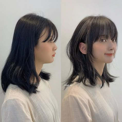 Korean Layered Haircut, Medium Long Hair Styles, Hush Cut Short, Hush Haircut, Hush Cut, Shortish Hair, Haircut Women, Beauty Hair Color, Fine Straight Hair