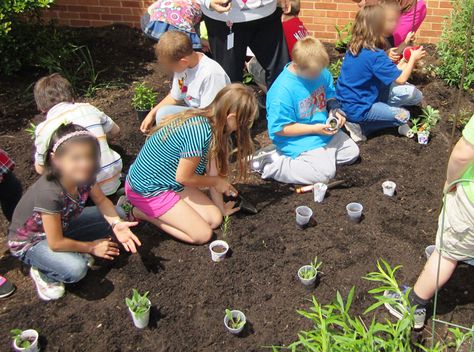 School Butterfly Garden, Preschool Butterfly, Summer Blooming Flowers, Garden School, School Gardens, Texas Plants, Butterfly Gardens, Stem Lesson, Native Plant Gardening