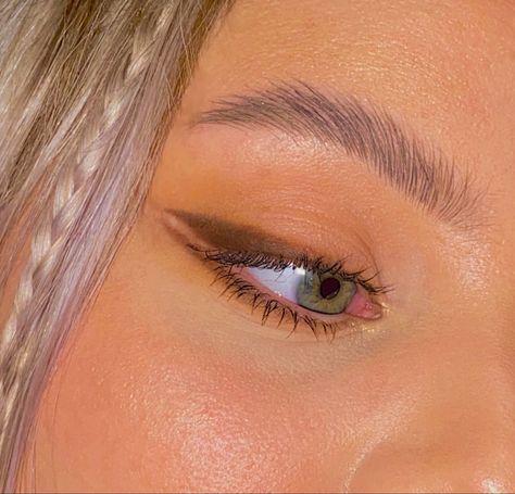 Brown Shadow Eyeliner, Glowy Dewy Skin, Double Winged Eyeliner, Soap Brows, Double Liner, Shadow Eyeliner, Nye Makeup, Make Up Tricks, Basic Girl