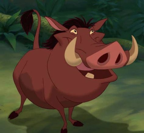 Pumba is a hilarious addition to Simba's pack in The Lion King. Pumba Lion King, Disney Zodiac, Lion King 1994, Disney Sidekicks, Lion King Ii, Lion King Timon, Disney Quizzes, King Picture, Lion King 1