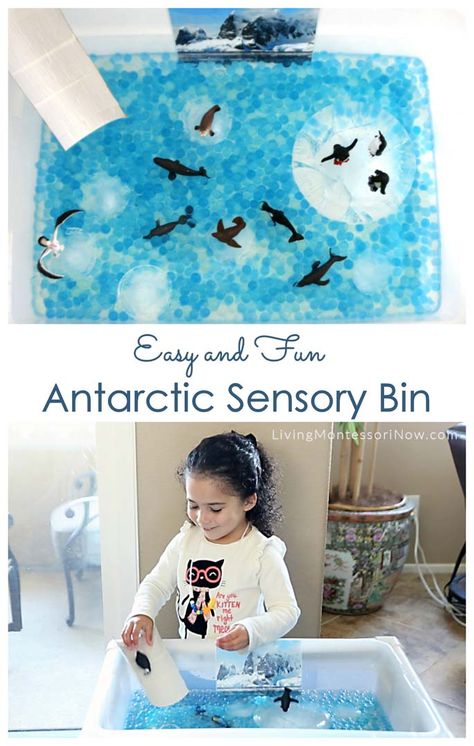 This easy-to-prepare sensory bin is great in an Antarctic unit in the winter and as a fun, educational way for kids to cool off in the summer! #Antarctica #homeschool #preschool #sensoryplay Penguin Toddler Activities, Antarctica Activities For Kids, Penguin Sensory Bin, Antarctica Activities, Winter Sensory Bin, Preschool Montessori, Animals Activities, Toddler Montessori, Montessori Homeschool