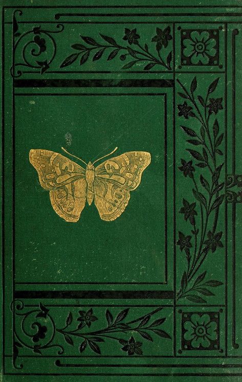 Poster Art Deco, Winter Artwork, Sketchbook Cover, Art Deco Poster, Butterfly Canvas, Vintage Book Covers, Art Deco Posters, Book Cover Art, Butterfly Art