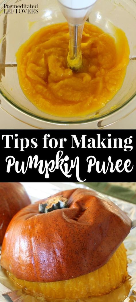 How To Prepare Pie Pumpkins, Bake Pumpkin For Puree, How To Process Fresh Pumpkin, Processing Fresh Pumpkin, Diy Pumpkin Puree How To Make, Pumpkin From Scratch, Baking A Pumpkin In The Oven, How To Cook Pumpkin In Oven, Baking Pumpkins For Puree