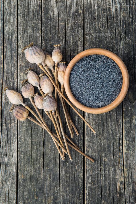 Dried poppy heads and seeds. by jirkaejc. Dried poppy heads and seeds. Blue poppy. Top view. Dried Poppy, Poppy Heads, Seed Photography, Blue Poppy, Poppy Seed, Architecture Photo, Top View, Wind Chimes, Poppies