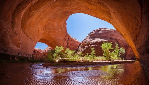 Utah. Escalante Petrified Forest State Park is located at Wide Hollow Reservoir. Find camping, amenities, attractions, and other park information. Arizona Day Trips, Places To Visit In Utah, Hikes In Utah, Rock Box, Glen Canyon Dam, Vacation Games, Utah Hiking, Utah State Parks, Southwest Travel