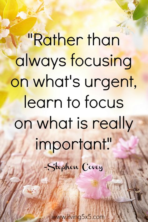 Inspirational Quote of the Week - Rather than always focusing on what's urgent, learn to focus on what is really important. -Stephen Covey Covey Quotes, Stephen Covey Quotes, Good Quotes, Stephen Covey, Quote Of The Week, Amy Poehler, Quotes Thoughts, Trendy Quotes, Leadership Quotes