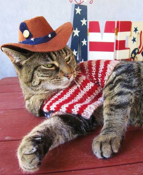 Patriotic Pets | cute patriotic pets 25 Cutest Patriotic Pets Cat Celebrating, 4th Of July Images, Patriotic Cat, Patriotic Dog, Cat Holidays, Cat Wall Art, Cat And Jack, Happy 4th Of July, Pet Holiday