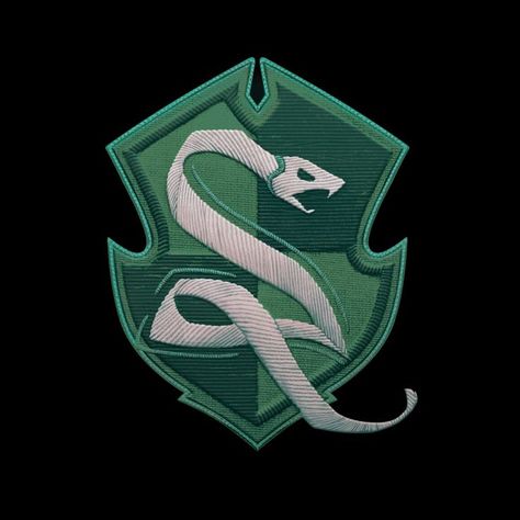 from Hogwarts Legacy Aidan Core, Hufflepuff And Slytherin, Hp Houses, Houses Wallpaper, Wizard House, Slytherin Snake, Gryffindor Ravenclaw, Slytherin Crest, Ravenclaw Hufflepuff