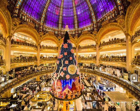 Galeries Lafayette Christmas, Best Christmas Light Displays, Holiday Lights Display, Best Christmas Lights, Christmas Light Displays, Xmas Lights, Galeries Lafayette, Holiday Magic, Christmas Light