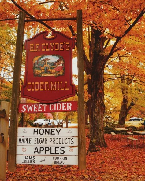 Fall Mood Board, Catty Noir, Pumpkin Spice Season, Season Of The Witch, Fall Feels, Happy Fall Y'all, We Fall In Love, Autumn Cozy, Autumn Aesthetic