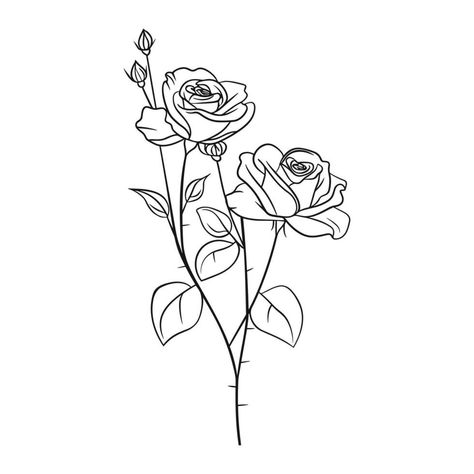 Sketch of blossom roses on stem with leaves. Vintage line drawing. Flowers in engraving style. Hand drawn realistic open rosebuds Flower Stem Drawing, Rose Bouquet Drawing, Line Drawing Flowers, Bush Drawing, Heritage Quilt, Rose Outline, Rose Sketch, Leaves Vintage, Drawing Flowers