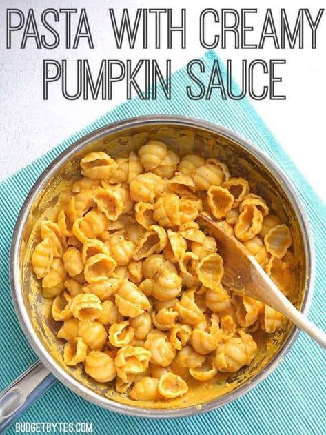 This super simple creamy pumpkin sauce drenches your favorite pasta for a quick, warm, and comforting weeknight dinner. Step by step photos. Pasta Sauce With Milk, Pumpkin Pasta Sauce, Pumpkin Puree Recipes, Coconut Smoothie Recipe, Pumpkin Sauce, Pumpkin Pasta, Budget Bytes, Healthy Recipes Easy Snacks, Easy Smoothie Recipes