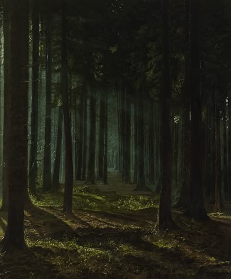 Fantasy Forest Aesthetic, Forest Academia, Light Forest, Dark Naturalism, Forbidden Forest, Forest Aesthetic, Dark Green Aesthetic, Fantasy Forest, Light Rays