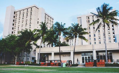 Stanford Dorm, U Of Miami, Small University, University Dorms, Colleges In Florida, College Aesthetic, Dream College, Dorm Life, Dream School