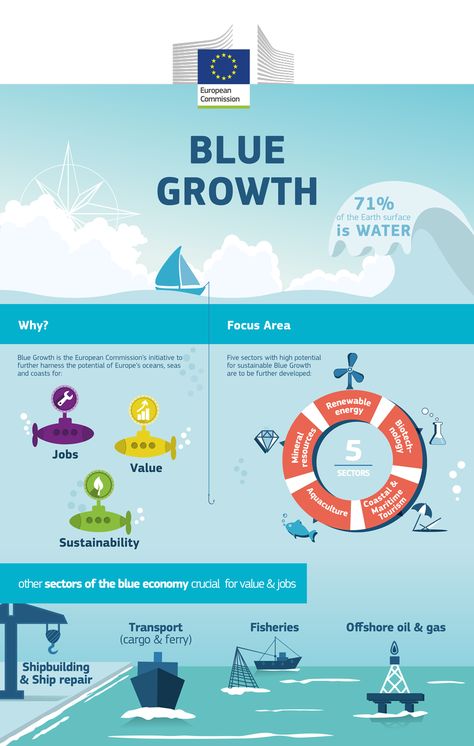 Infographic Sustainability Infographic, Economy Infographic, Blue Economy, Economy Design, European Commission, Earth Surface, Community Development, Marine Biology, Circular Economy