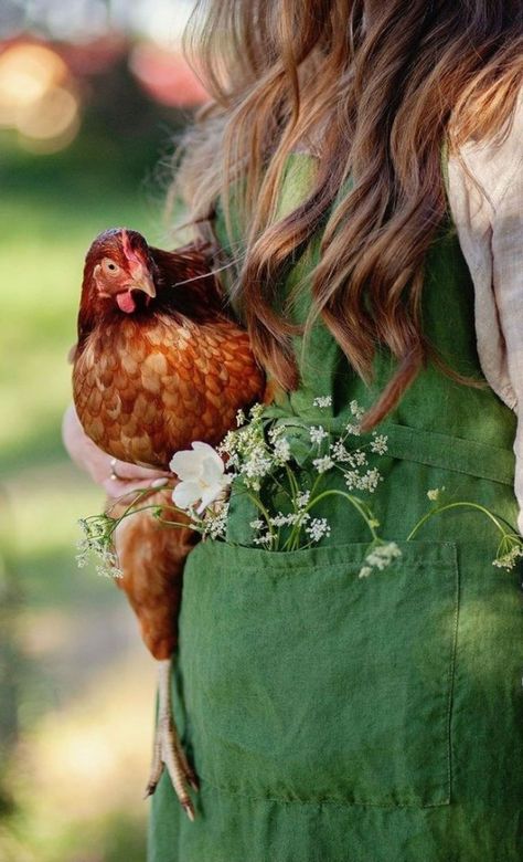 Backyard Chicken Run, Chicken Backyard, Elsie De Wolfe, Chicken Run, Happy Stuff, Beautiful Countryside, Future Farms, Farm Lifestyle, Diy Chicken