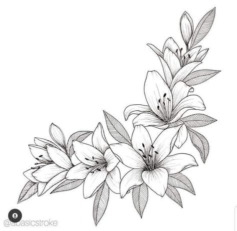 Lilly Tattoo Stencil, Lily Tattoo Stencil, Lily Flower Illustration, Tattoo Designs Floral, Tattoo Designs Sleeve, Lilly Tattoo Design, Lilly Flower Tattoo, Let It Be Tattoo, Animal Tattoo Designs