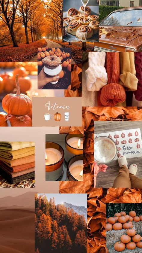 Aesthetic Thanksgiving, Thanksgiving Wallpapers, Christmas Garland Mantle, Elf On The Shelf Arrival, Thanksgiving Aesthetic, Autumn Phone Wallpaper, Napkin Folds, November Wallpaper, Folding Ideas