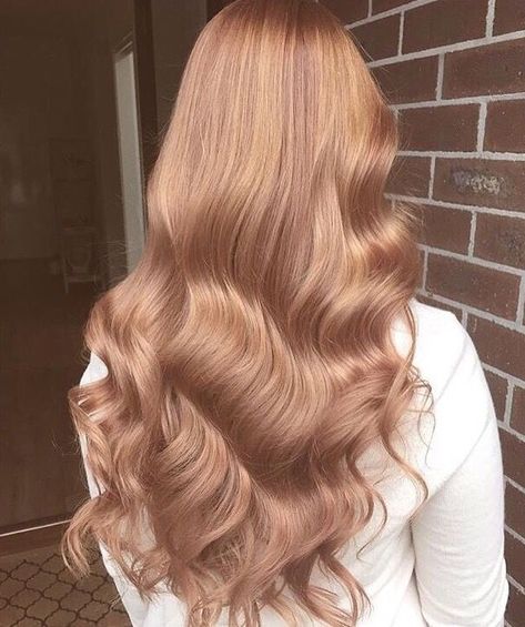 Blond Rose, Light Strawberry Blonde, Light Purple Hair, Gold Hair Colors, Strawberry Blonde Hair Color, Copper Blonde, Hair Color Rose Gold, Fesyen Rambut, Copper Hair Color