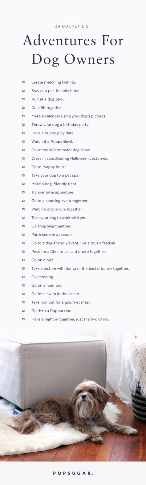 29 Bucket List Adventures to Bring You and Your Dog Closer Together Lou Dog, Dogs Stuff, Dog Things, Puppy Play, Dog Info, Puppy Stuff, 웃긴 사진, My Puppy, Crazy Dog