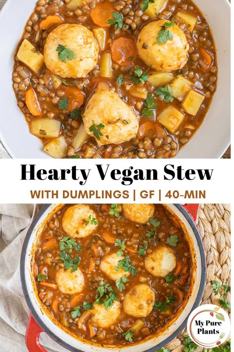 Vegetarian Dumpling Soup, Plant Based Casserole, Dumpling Stew, Stew With Dumplings, Veg Stew, Vegan Stew Recipes, Vegan Whole 30, Lentil Stew Recipes, Vegetarian Dumpling