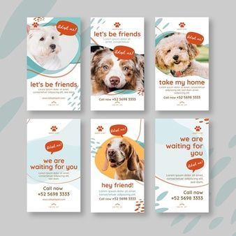 Free Vector | Stay at home instagram post template Love Template, Pet Instagram, Instagram Sales, Social Advertising, Rack Card, Social Media Design Inspiration, Crazy Colour, Sale Banner, Dog Rescue