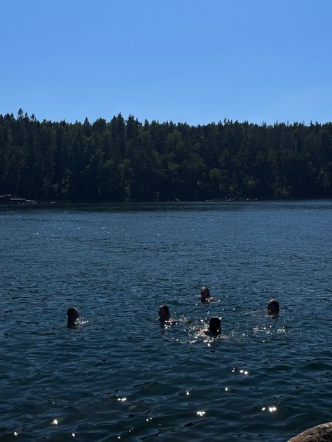 ozean summer  swimming Midsommar Aesthetic, Swedish Aesthetic, Sweden Aesthetic, Summer Swim, Summer Bucket, Summer Feeling, Aesthetic Summer, European Summer, Beautiful Places To Visit