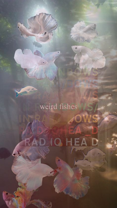 Weird Fishes Radiohead Tattoo, Weird Fishes Radiohead, Radiohead Aesthetic, Radiohead Wallpaper, Radiohead Tattoo, Art Trading Cards, Identity Crisis, Last Unicorn, The Last Unicorn