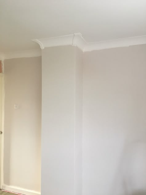 Dulux nutmeg white Off White Paint Dulux Wall Colors, Dulux Nutmeg White Hallway, Nutmeg White Bedroom, Dulux Milky Pail, Feather Soft Dulux Paint, Dulux Nutmeg White Bedroom, Dulux Cream Paint Colour, Almost Oyster Dulux Paint, Nutmeg White Dulux Paint Living Rooms